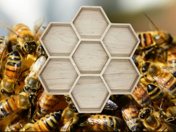 Honeycomb Tray