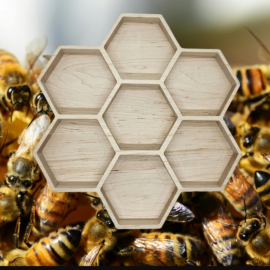 Honeycomb Tray