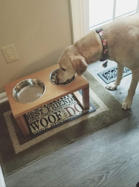 Custom Dog Bowl Stand