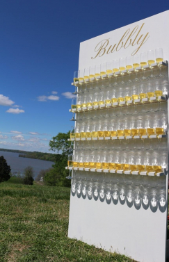 Custom Bubbly Champagne Wall (image 1/4)