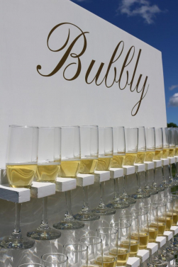 Custom Bubbly Champagne Wall (image 2/4)