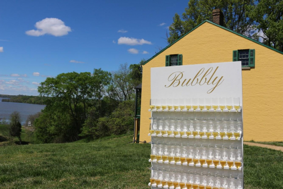 Custom Bubbly Champagne Wall (image 3/4) Custom Bubbly Champagne Wall (image 3/4)