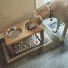 Custom Dog Bowl Stand fb_img_1503269561506.jpg