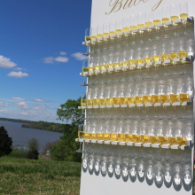 Custom Bubbly Champagne Wall (image 1/4) img959531.jpg