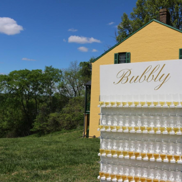 Custom Bubbly Champagne Wall (image 3/4)
